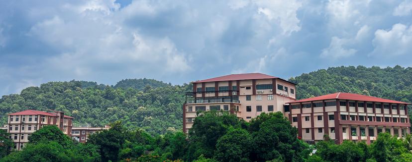 Assam Down Town University Assam Down Town University